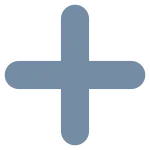 Plus S SVG Icon